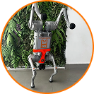 Atração para Selfies